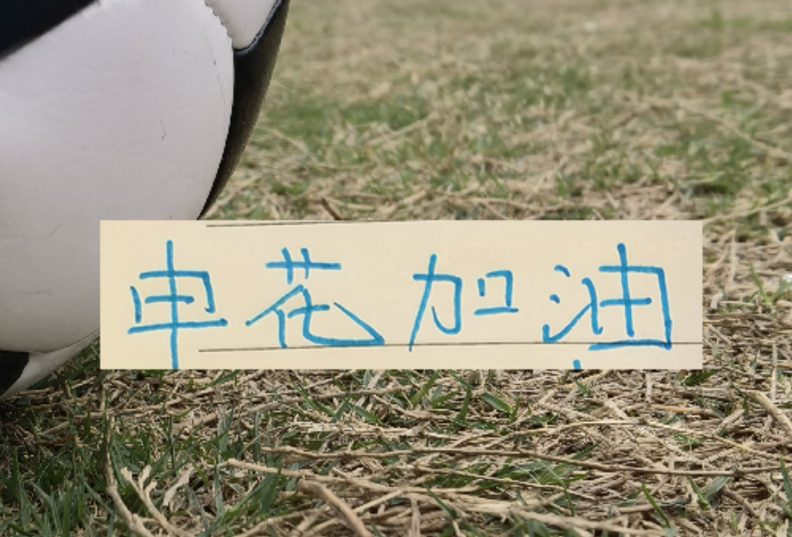 星空体育登录入口-如果没有罚分的话！申花应该是夺冠热门 而不是在保级区域擦边
